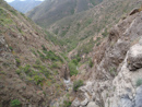 Salamander Canyon, California